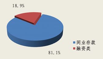 北京市分行投資管理策略與實(shí)踐