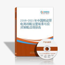 2016-2021年中國(guó)陶瓷泵電商戰(zhàn)略運(yùn)營(yíng)前景與投資策略咨詢報(bào)告